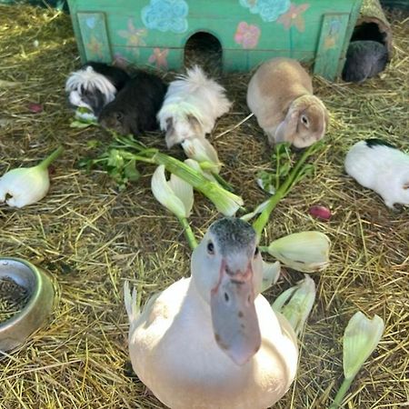Sejour A La Ferme Villa Jouques Exteriör bild