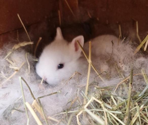 Sejour A La Ferme Villa Jouques Exteriör bild