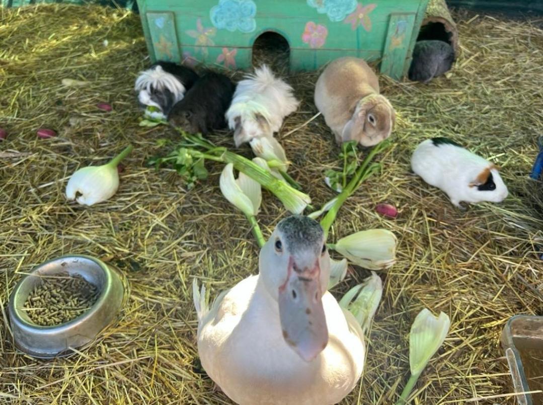 Sejour A La Ferme Villa Jouques Exteriör bild