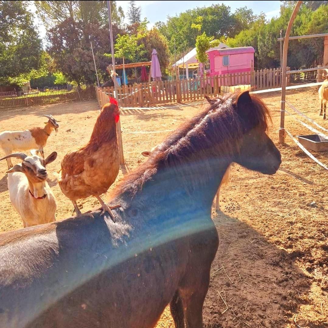 Sejour A La Ferme Villa Jouques Exteriör bild